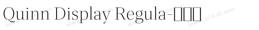 Quinn Display Regula字体转换